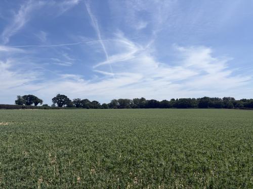 39.63 Acres Barton Turf, Hall Road, Norwich, NR12