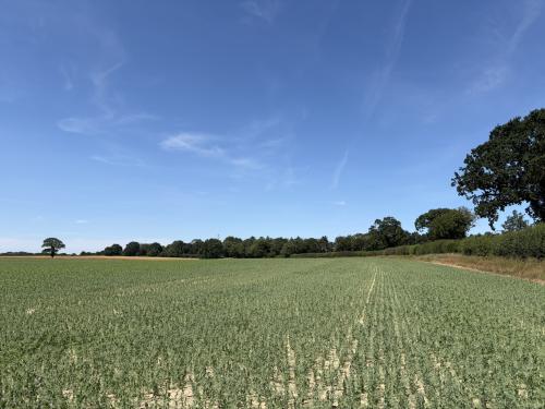 39.63 Acres Barton Turf, Hall Road, Norwich, NR12