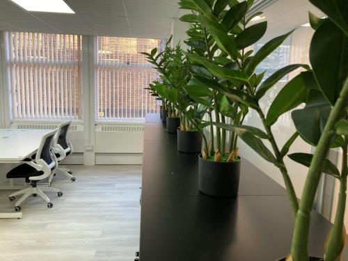 Prospect House,, Crendon Street, High Wycombe, HP13