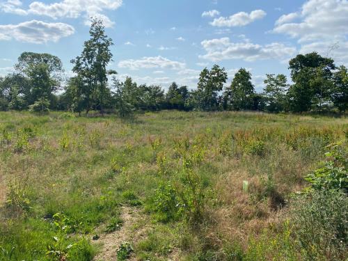 Lot 3-, Paddock Land Off Ladburn Lane, Alvescot, Burford, OX18