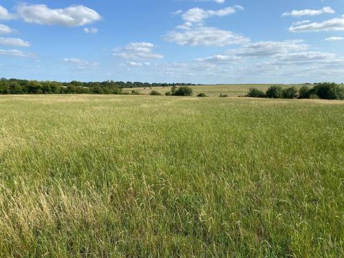 Lot 2-, Pastureland Off Shilton Road, Alvescot, Burford, OX18