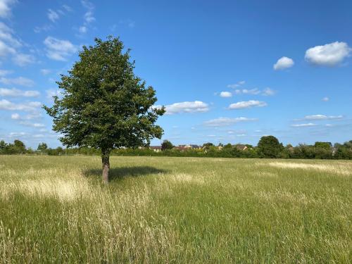 64.86 Acres, Near Shilton, Burford, OX18
