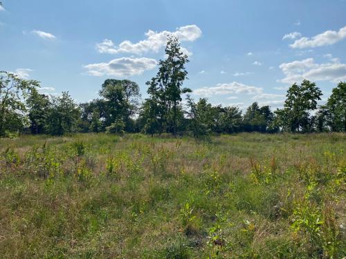 64.86 Acres, Near Shilton, Burford, OX18
