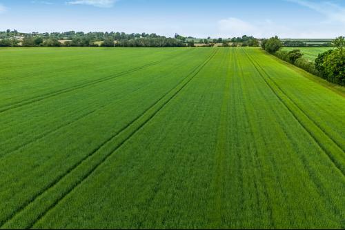 Lower Road, Arrington, Royston, SG8