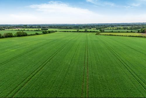 Lower Road, Arrington, Royston, SG8