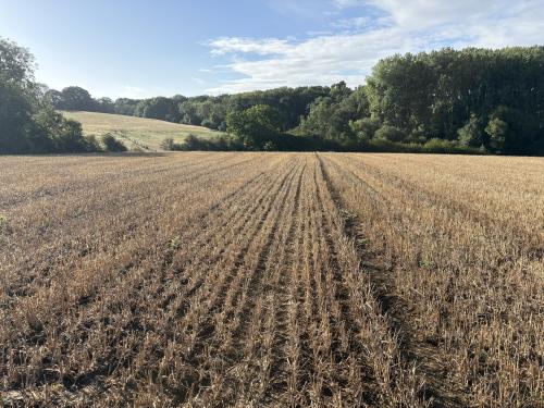 Lot 1 - 36.63 Acres, Boddington Road, Byfield, Daventry, NN11