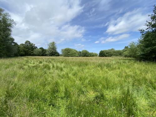 Berry Hall Road, Barton Turf, Norwich, NR12