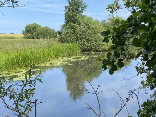 Berry Hall Road, Barton Turf, Norwich, NR12