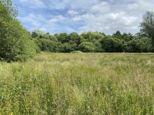 Berry Hall Road, Barton Turf, Norwich, NR12