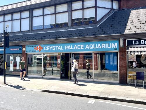 54 Westow Street, Crystal Palace, London, SE19