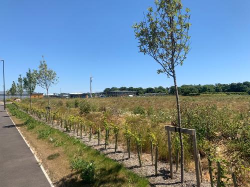 Trade And Logistics City, Saltbox Business Park, Shripney Road, Bognor Regis, PO22