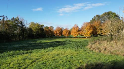 Residential Development Opportunity, Deopham, Wymondham, NR18