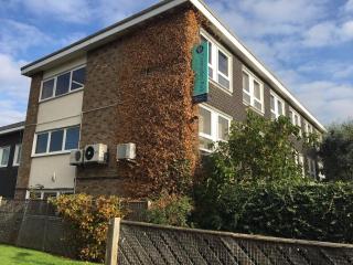 Delta Gain, Carpenders Park Business Centre, Carpenders Park, Watford, WD19