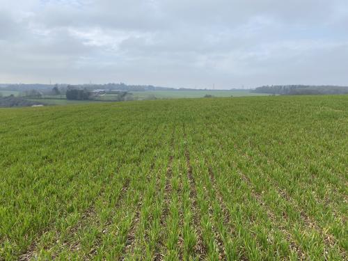 26 Acres Queens Head, Whieldon Gate, Amersham, HP7