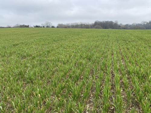 26 Acres Queens Head, Whieldon Gate, Amersham, HP7