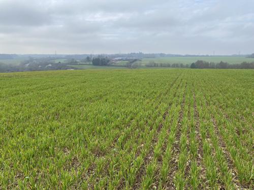 26 Acres Queens Head, Whieldon Gate, Amersham, HP7