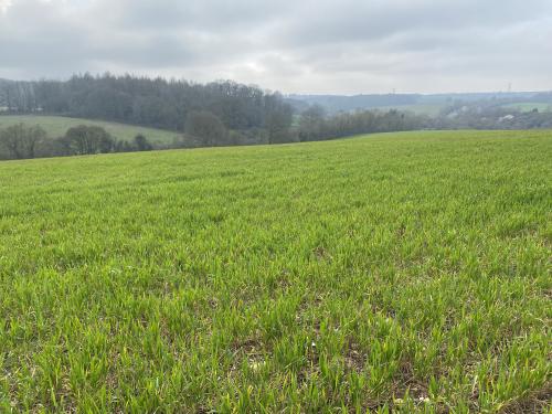 26 Acres Queens Head, Whieldon Gate, Amersham, HP7