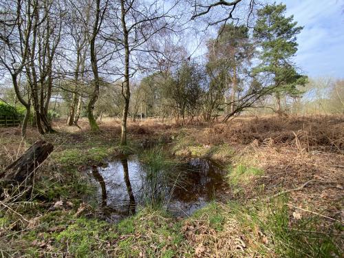 5.56 Acres The Wilderness, Shortthorn Road, Stratton Strawless, Norwich, NR10