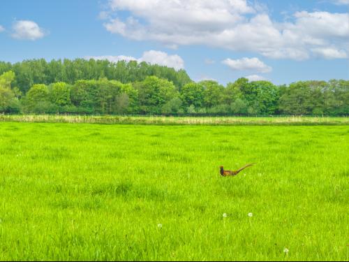 Starcross Farm, Turbary, Epworth, Doncaster, DN9
