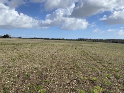 238.4 Acres, Hopton, Great Yarmouth, NR31
