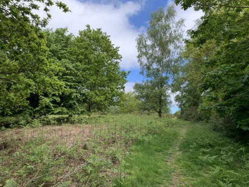 Barrow Common, Common Lane, King's Lynn, PE31