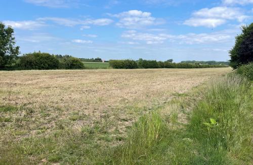 Tilney St. Lawrence, School Road, King's Lynn, PE34