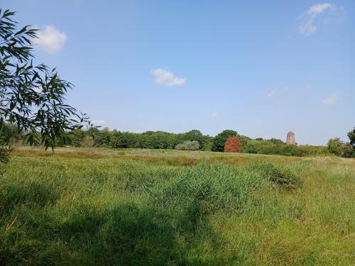 Lot 2, Bridge Road, Potter Heigham, Great Yarmouth, NR29
