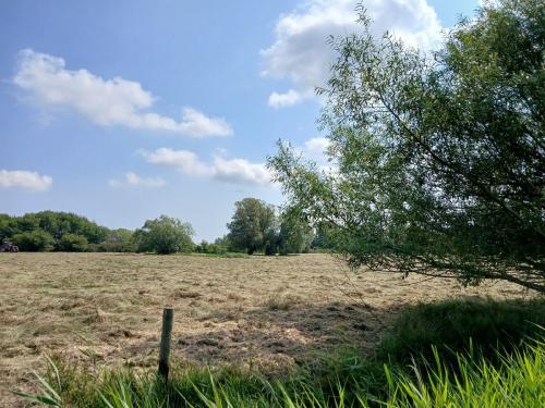 Lot 1 Marshland, Bridge Road, Potter Heigham, Great Yarmouth, NR29