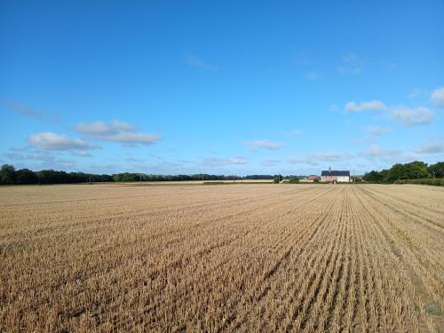 Ashby Road, Repps with Bastwick, Great Yarmouth, NR29