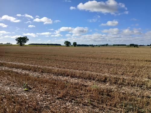 Ashby Road, Repps with Bastwick, Great Yarmouth, NR29