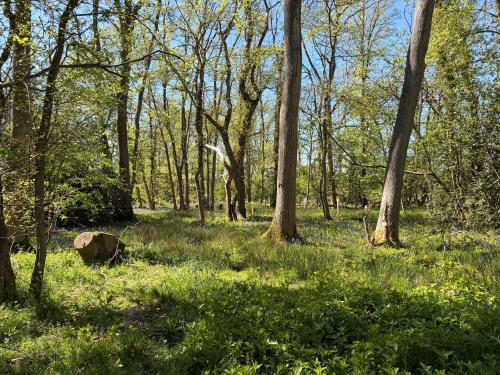 Land At Grove Farm, Guist Bottom Road, Stibbard, Fakenham, NR21