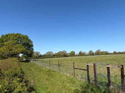 Land At Grove Farm, Guist Bottom Road, Stibbard, Fakenham, NR21