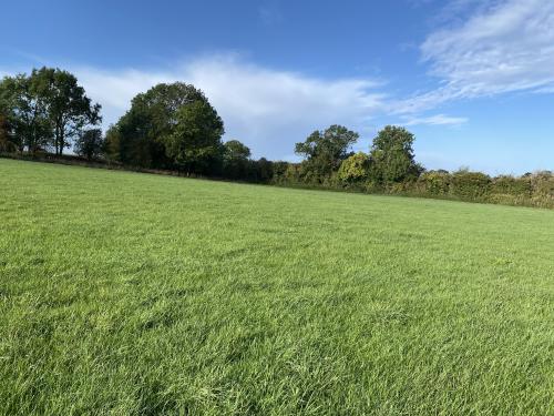 39.05 Acres, Milton Road, Bloxham, Banbury, OX15