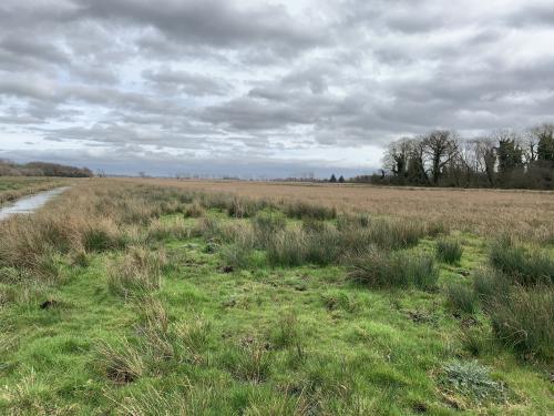 Lower Road, Rockland St. Mary, Norwich, NR14