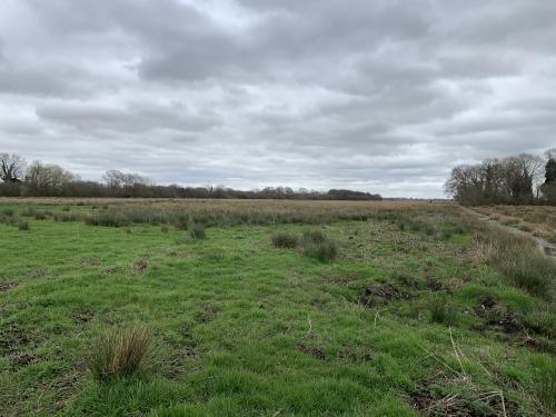 Lower Road, Rockland St. Mary, Norwich, NR14
