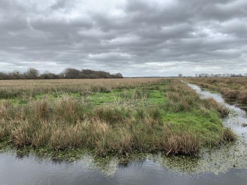 Lower Road, Rockland St. Mary, Norwich, NR14