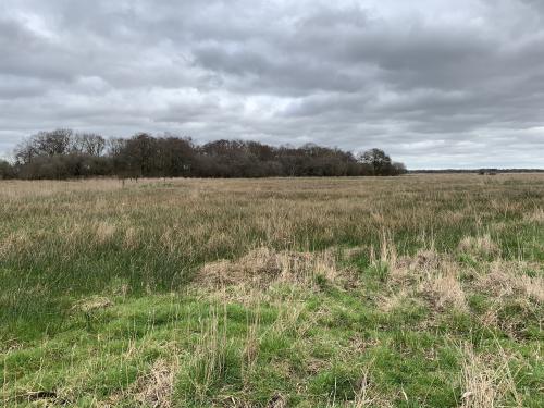 Lower Road, Rockland St. Mary, Norwich, NR14
