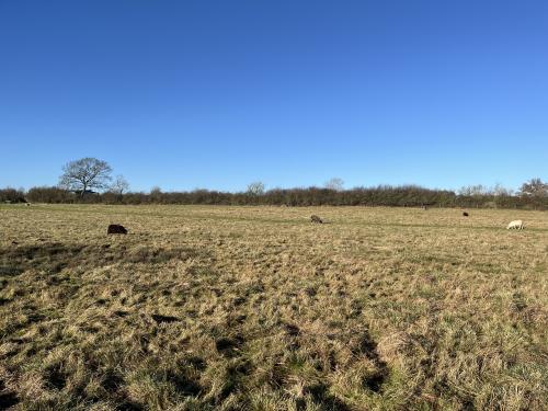 39.54 Acres, Singleborough Road, Thornborough, Buckingham, MK17