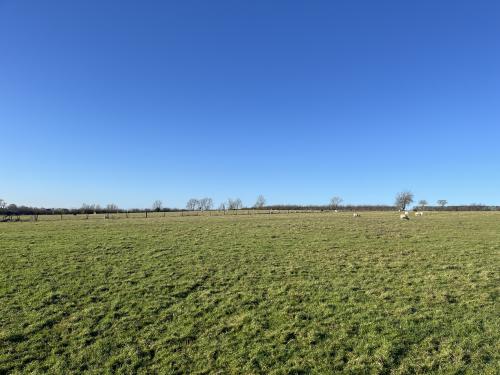 39.54 Acres, Singleborough Road, Thornborough, Buckingham, MK17
