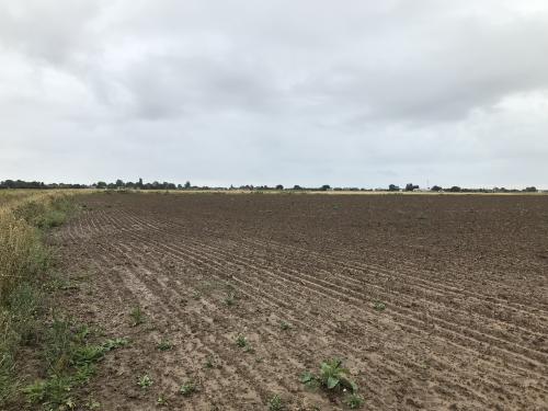 Land, Main Road, Butterwick, Boston, PE22