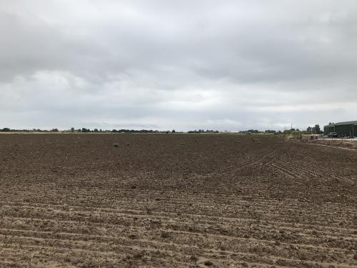 Land, Main Road, Butterwick, Boston, PE22