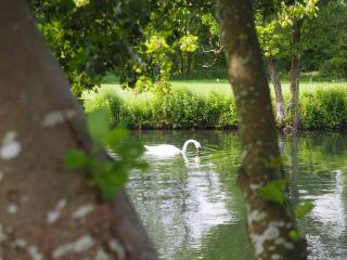 The Timsbury Fishery, Manor Lane, Timsbury, SO51