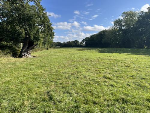 10.71 Acres, Heath Road, Felmingham, Norwich, NR28