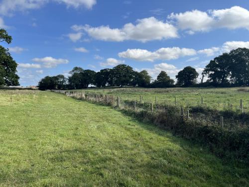 10.71 Acres, Heath Road, Felmingham, Norwich, NR28