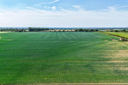 Land At Barnfield Farm, St Ives (Cambs), Bluntisham, PE28