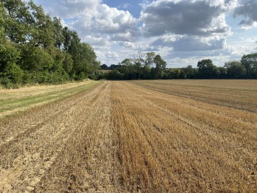 54 Hectares, Byfield, Daventry, NN11