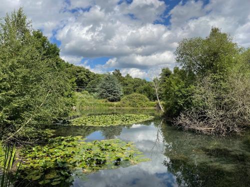 Bromeswell Lakes, Bromeswell, Woodbridge, IP12
