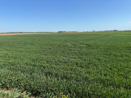 Andrews Farm, Binnimoor Road, March, PE15