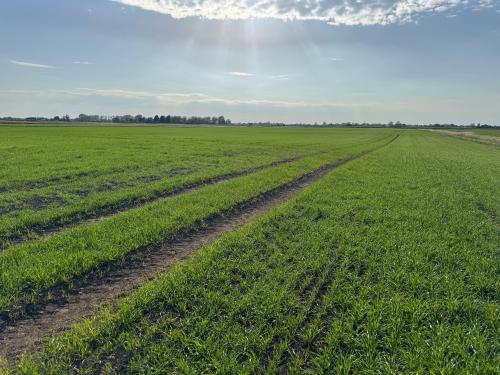 Andrews Farm, Binnimoor Road, March, PE15