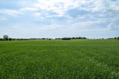 6.20 Acres, Station Road/Fen Road, Digby, LN4